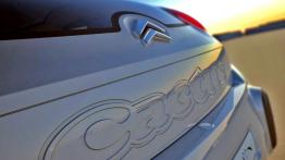 Citroen C-Cactus Concept - emblemat