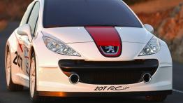Peugeot 207 RCup Concept - przód - reflektory wyłączone