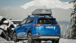 Hybrydowa Toyota RAV4 wjeżdża do Polski