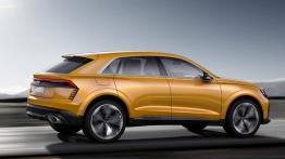 Wielozadaniowe Audi Q8 Sport Concept