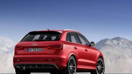 Audi RS Q3 - mały potworek trafił do polskich salonów