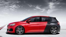 Peugeot 308 R Concept na pierwszych grafikach