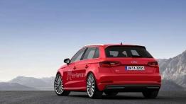Audi A3 Sportback e-tron już na polskim rynku
