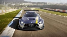 Mercedes-AMG GT3 - nowa broń w walce z ekologią