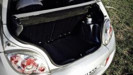 Ford SportKa – ze szczyptą męskości