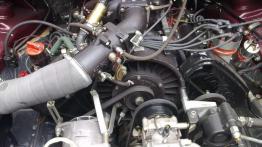 Luksus dla Prezydenta