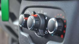 Dacia Lodgy - rodzinny autobus w niedrogim wydaniu