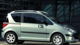 Ofiara praktyczności - Peugeot 1007