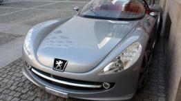 Peugeot 607 Feline - napotkana gwiazda