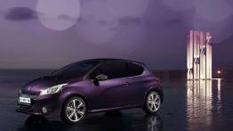 Motoryzacyjne nowości 2013 od P do V