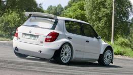 Leszek Kuzaj Skodą Fabią S2000 w sezonie 2010