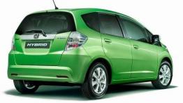 Przegląd rynku hybryd i samochodów elektrycznych