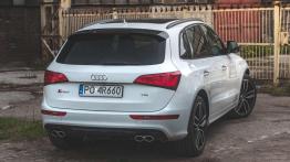 Audi SQ5 - galeria redakcyjna