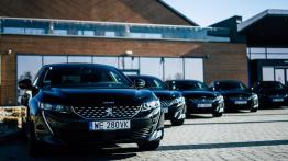 Peugeot 508 - galeria redakcyjna