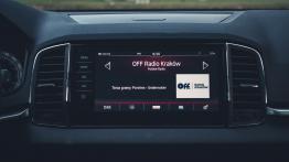 Skoda Karoq - galeria redakcyjna