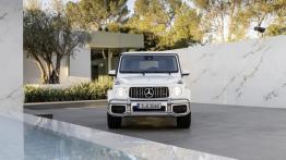 Mercedes Klasa G W461 2.9 GD 95KM 70kW 1992-2001
