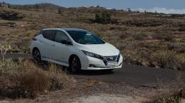 Nissan Leaf - galeria redakcyjna - inne zdjęcie