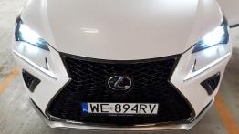 Lexus NX 300 - galeria redakcyjna (1)