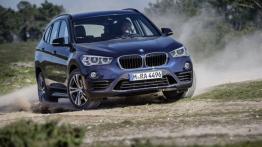 BMW X1 II xDrive25i (2016) - widok z przodu
