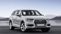 Audi Q7 II SUV 3.0 TFSI 333KM 245kW 2015-2018