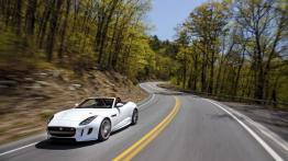 Jaguar F-Type AWD R Roadster (2016) - widok z przodu