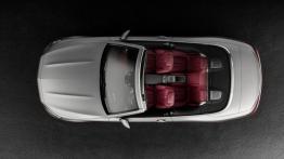 Mercedes-Benz Klasa S Cabrio (2016) - widok z góry