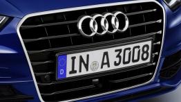 Audi A3 Sportback g-tron (2013) - grill