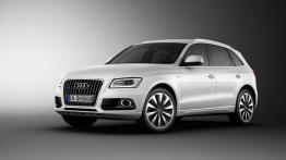 Audi Q5 I SUV Facelifting 3.0 TDI clean diesel 258KM 190kW od 2014