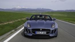 Jaguar F-Type V6 Satellite Grey - widok z przodu