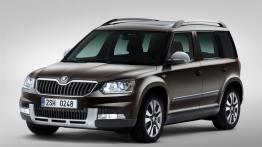 Skoda Yeti Facelifting (2014) - przód - reflektory włączone