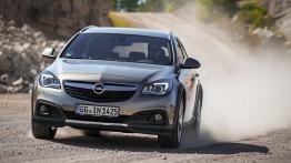 Opel Insignia Country Tourer (2013) - widok z przodu