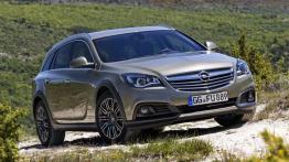 Opel Insignia I Country Tourer 2.0 CDTI Ecotec 170KM 125kW od 2015