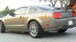Ford Mustang V Coupe 4.6 i V8 GT 304KM - galeria redakcyjna - widok z tyłu