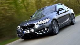 BMW 220i Coupe Sport Line (2014) - widok z przodu