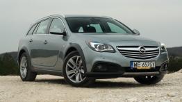 Opel Insignia Country Tourer 2.0 - galeria redakcyjna - widok z przodu