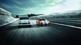 Porsche Cayenne III S Hybrid (2011) - widok z przodu