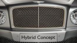 Bentley Hybrid Concept (2014) - grill