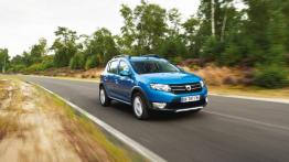 Dacia Sandero II Stepway - widok z przodu