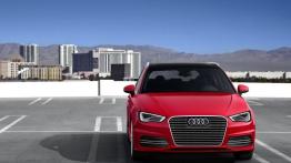 Audi A3 III Sportback e-tron (2013) - widok z przodu