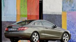 Mercedes Klasa E W212 Coupe 250 CGI BlueEFFICIENCY 204KM 150kW 2009-2012