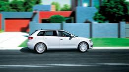 Audi A3 8P Hatchback 3d 1.9 TDI e 105KM 77kW 2008-2010