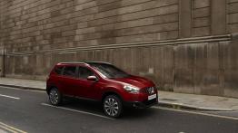Nissan Qashqai + 2 2010 - prawy bok