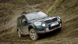 Skoda Yeti 2009 - widok z przodu