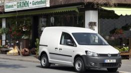 Volkswagen Caddy III Furgon Facelifting 1.6 BiFuel (LPG) 102KM 75kW 2012-2015