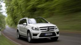 Mercedes Klasa GL X166 Off-roader AMG 63 AMG 558KM 410kW 2012-2015