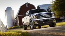 Ford F-150 - model 2013 - widok z przodu