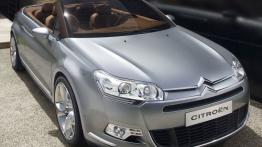 Citroen C5 Airscape Concept - widok z przodu