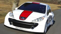 Peugeot 207 RCup Concept - widok z przodu