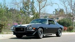 Chevrolet Camaro I 7.0 431KM 317kW 1969