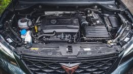 Cupra Ateca – niewątpliwie jest przełomowa, ale czegoś mi w niej brakuje 